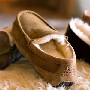 UGG Ascot Bomber Slipper - Men’s